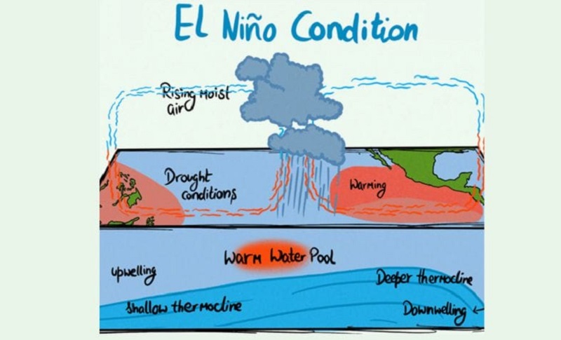 hiện tượng el nino là gì