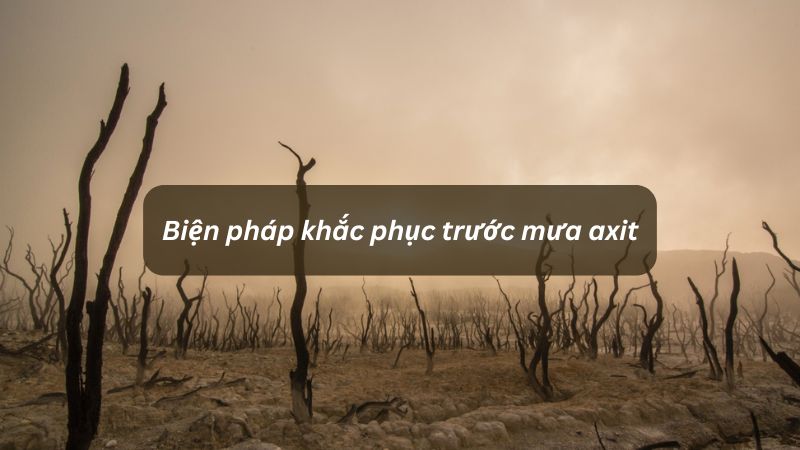 Biện pháp khắc phục trước mưa axit