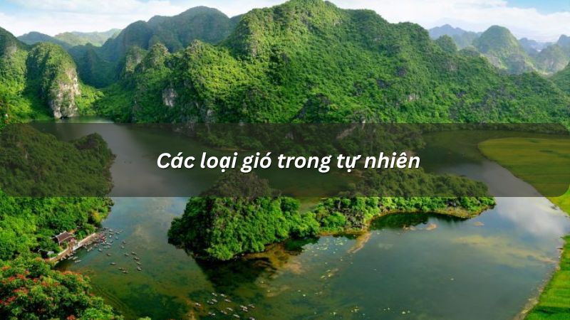 Các loại gió trong tự nhiên