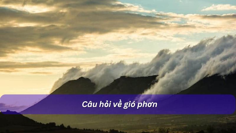 Câu hỏi về gió phơn