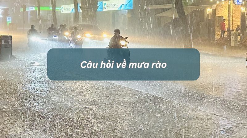 Câu hỏi về mưa rào