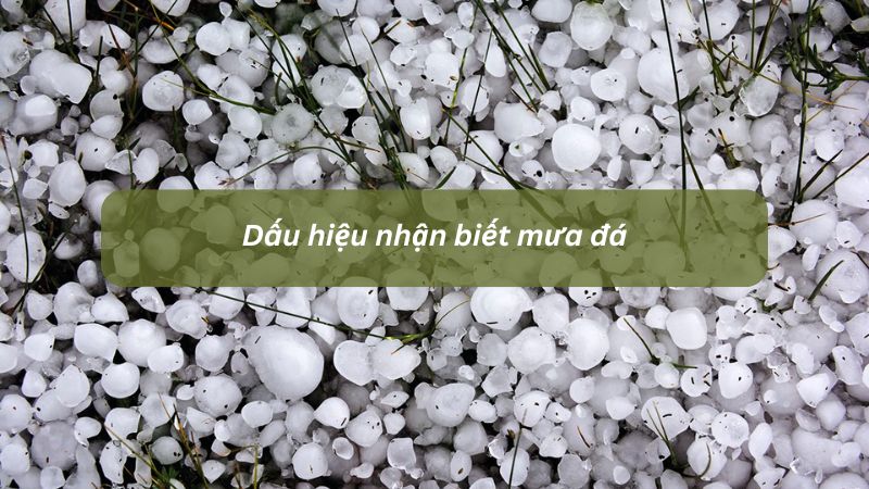 Dấu hiệu nhận biết mưa đá