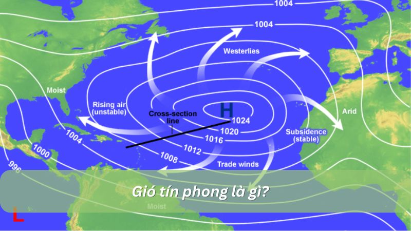 Gió tín phong là gì? Nguồn gốc và đặc điểm của gió tín phong