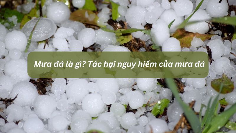 Mưa đá là gì? Tác hại nguy hiểm của mưa đá