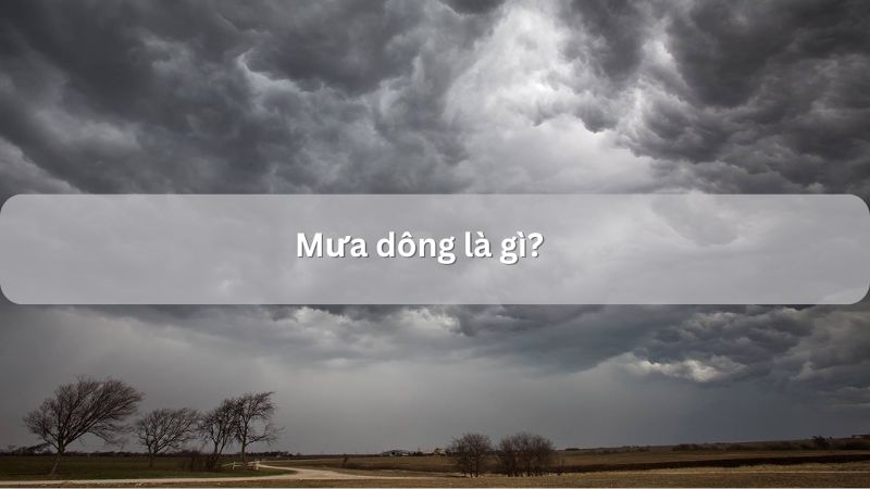 Mưa dông là gì? Tìm hiểu hiện tượng mưa giông