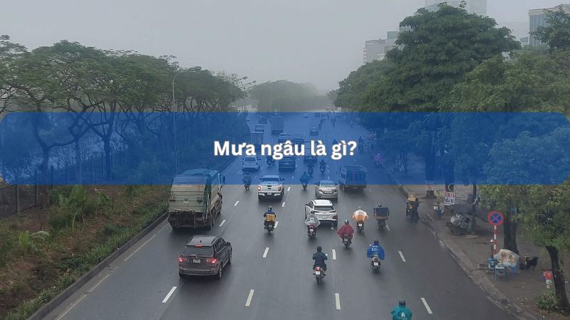 Mưa ngâu là gì? Truyền thuyết về sự tích mưa ngâu