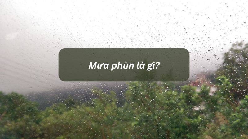 Mưa phùn là gì