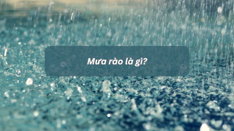 Mưa rào là gì? Các đặc điểm của mưa rào