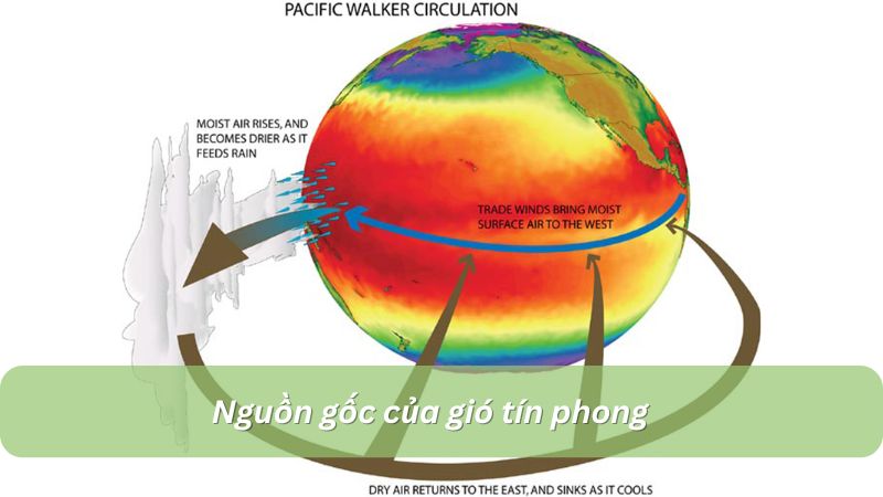 Nguồn gốc gió tín phong