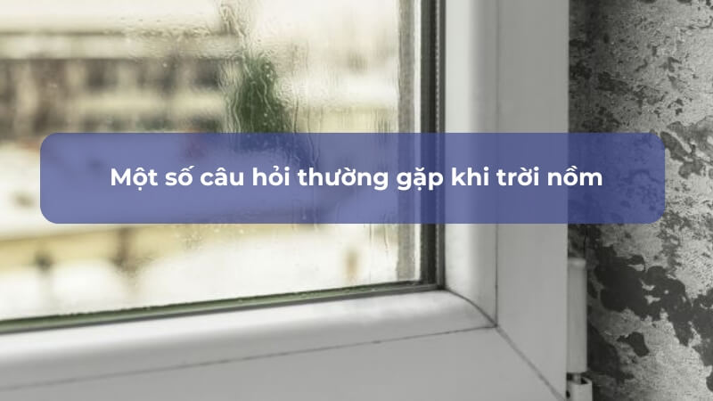 Một số câu hỏi về nồm ẩm