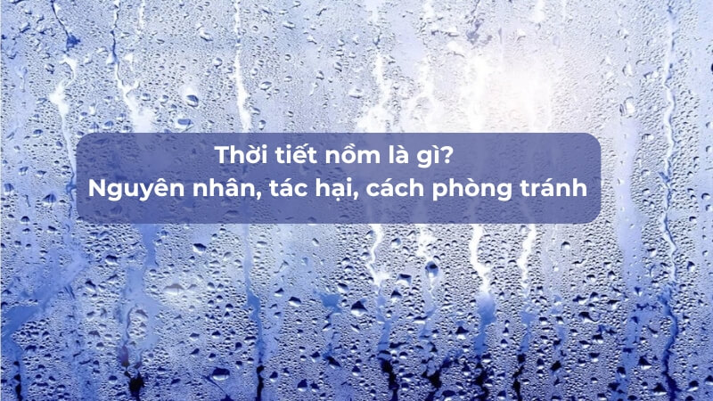 Thời tiết nồm là gì? Nguyên nhân, tác hại, cách phòng tránh