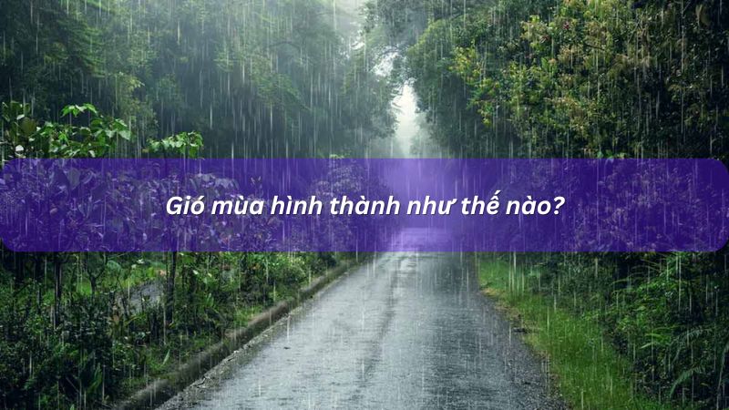 Sự hình thành của gió mùa