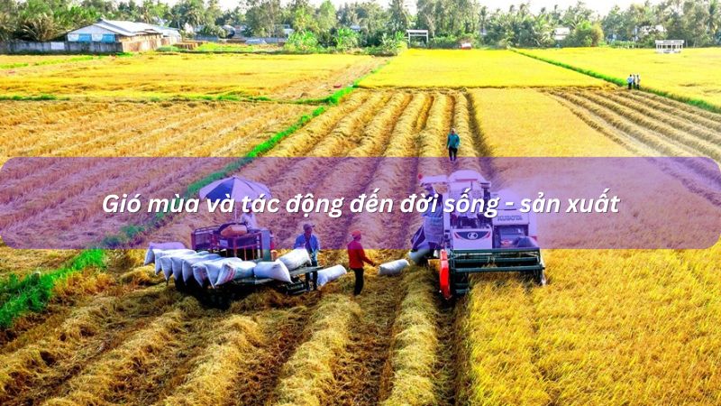 Tác động gió mùa