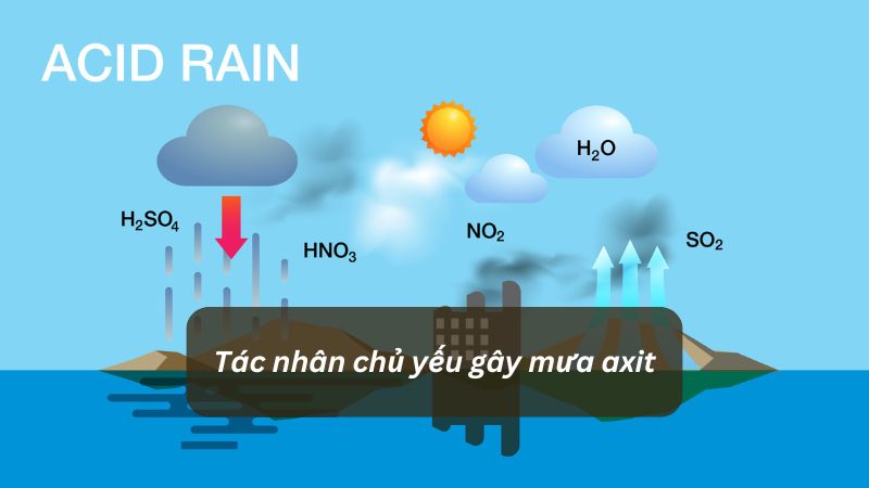 Tác nhân gây mưa axit