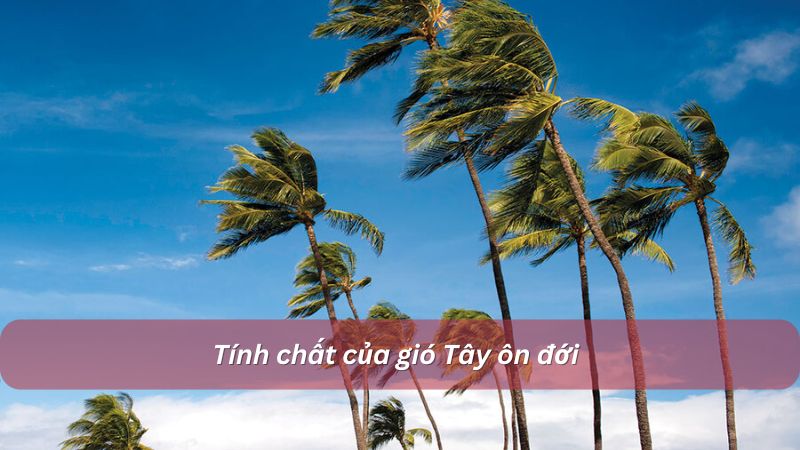 Tính chất gió tây ôn đới