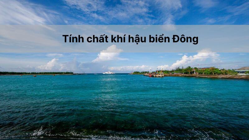 Biển Đông có khí hậu mang tính chất nào?