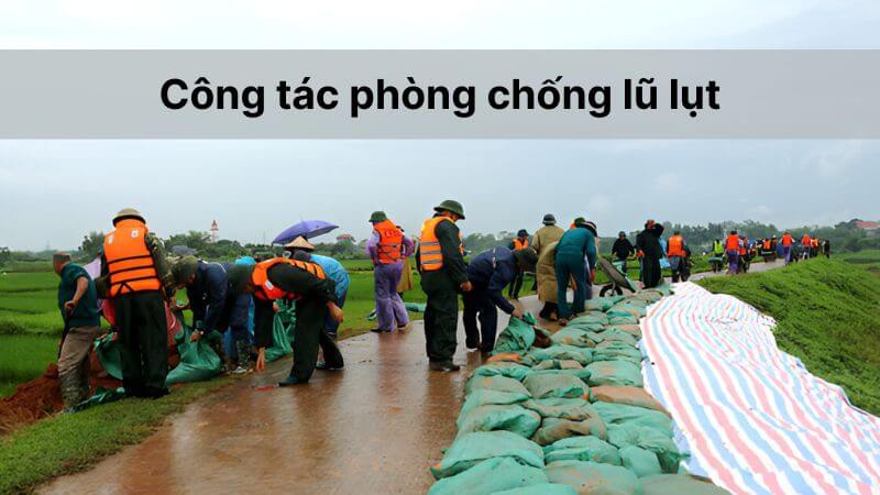 Ứng phó lũ lụt